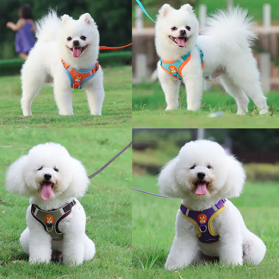 Pet Dog harness and leash set Reflect light Adjustable Puppy harness No Pull Outdoors Travel harness Dog Cute Pet Accessories