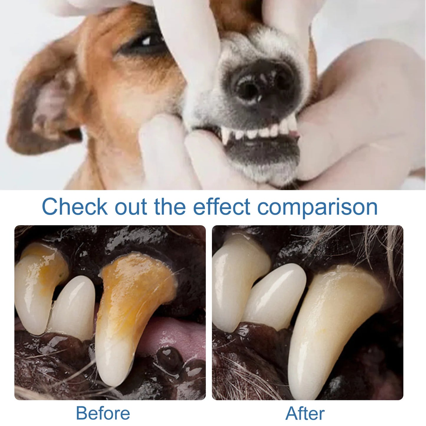 Pet Teeth Cleaner Spray Tartar Dirty Remover Puppy Mouth Fresher Deodorant Kitten Prevent Oral Calculus Dog Oral Cleanse Liquid