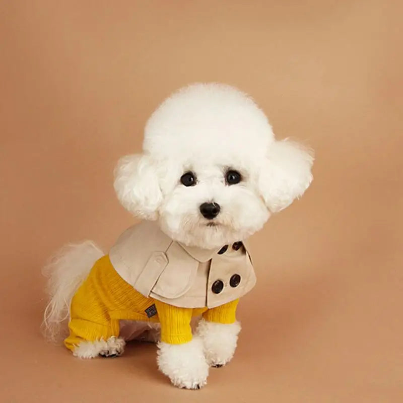Fashion British Style Dog Cloak WindbreakerCorgi French Bulldog Pet Dog Bib Pet Clothing Cape Pets Costume Trench 강아지 케이프, 애견